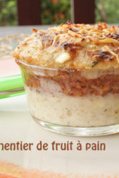 parmentier fruit à pain