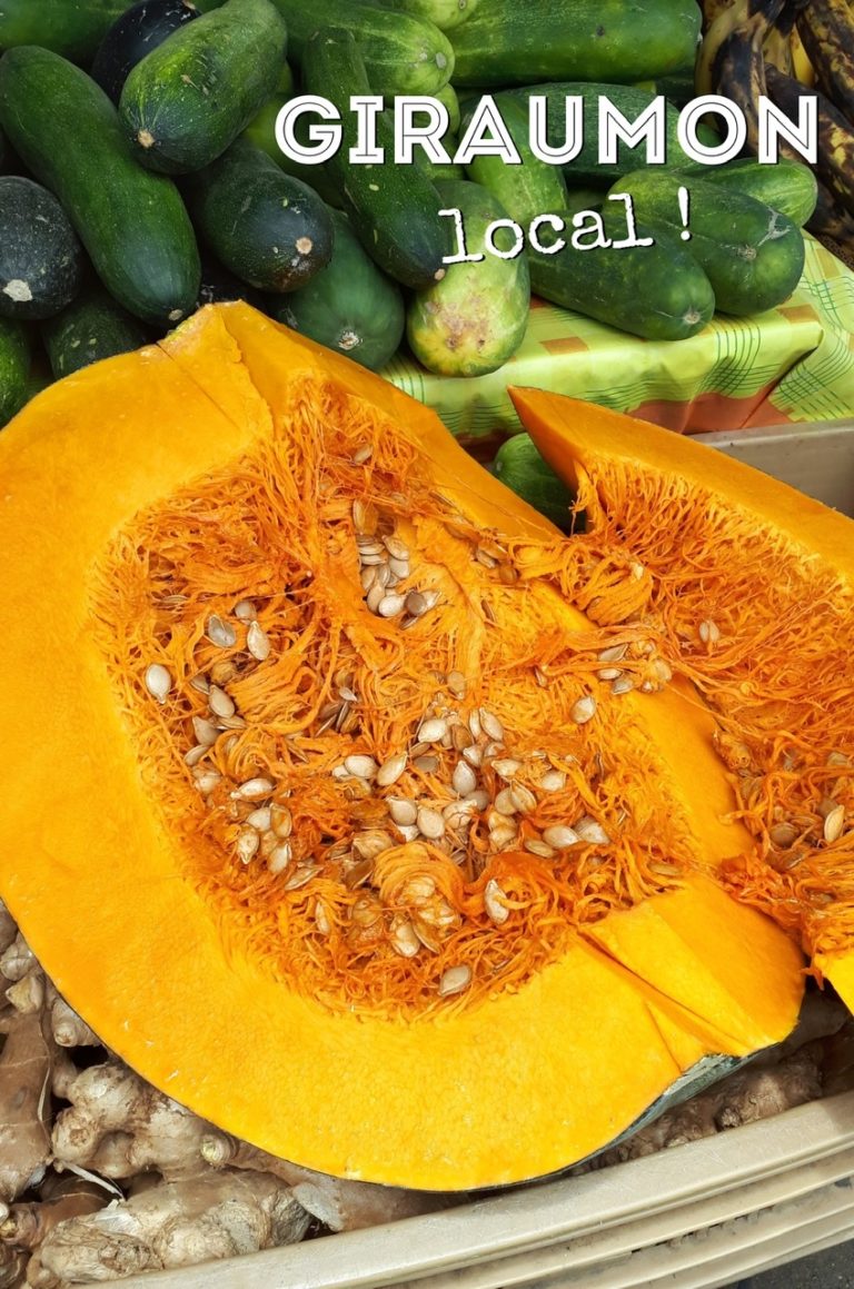 Le GIRAUMON antillais de A à Z origine, recettes, anecdotes