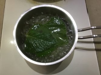 infusion de gros thym
