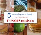 5 conseils pour réussir son punch maison