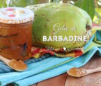 gelée de barbadine Martinique