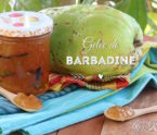 gelée de barbadine Martinique