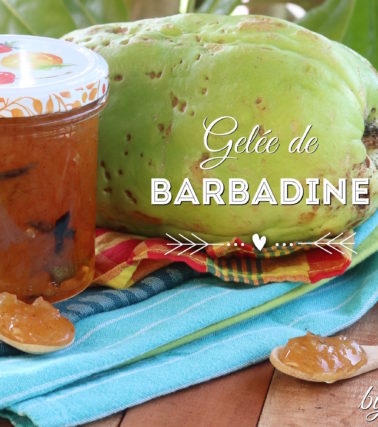 Recette de la Gelée de BARBADINE, selon Katreen