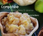 Compotee christophine ananas