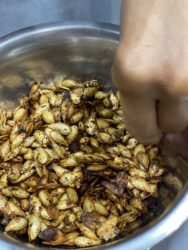graines de giraumon torréfiées