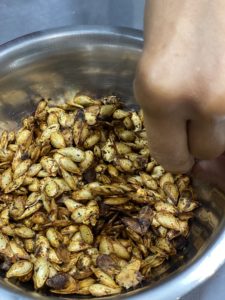 graines de giraumon torréfiées